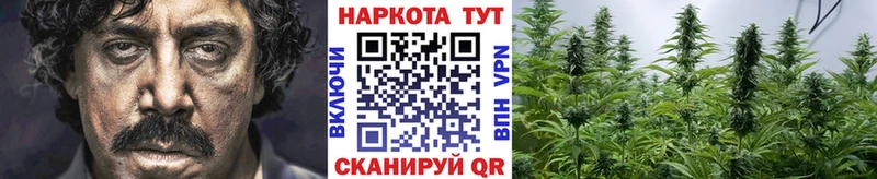 Купить наркотики Луховицы Кокаин  БУТИРАТ  Гашиш  Мефедрон  Псилоцибиновые грибы  A PVP  АМФ 