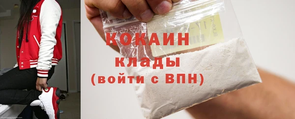 не бодяженный Бородино