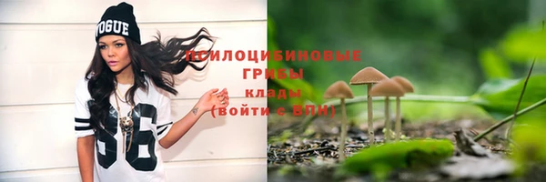 не бодяженный Бородино