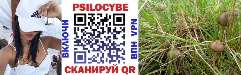цена наркотик  Луховицы  мега ССЫЛКА  Псилоцибиновые грибы ЛСД 